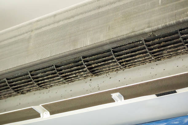 Best Air Duct Cleaning Near Me in Oglesby, IL