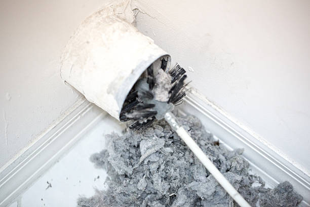 Best Residential Air Duct Cleaning  in Oglesby, IL